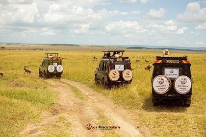 Maasai Mara 3 Days Tour Safari Private 4x4 Landcruiser