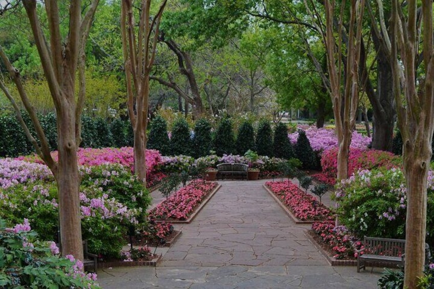 Dallas Arboretum and Botanical Gardens Private Tour