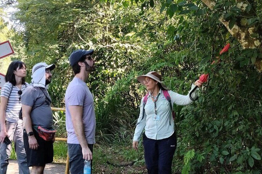 1-day Private Tour of the Falls on the Brazilian and Argentinean sides.