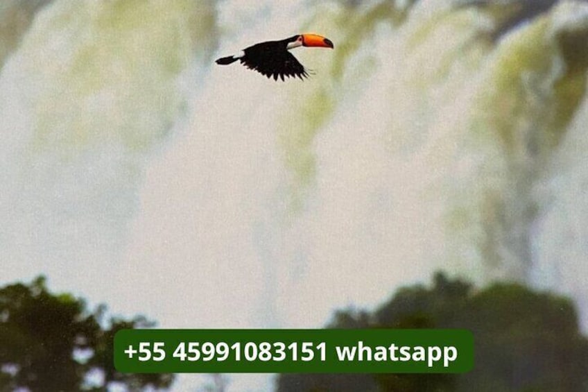 1-day Private Tour of the Falls on the Brazilian and Argentinean sides.