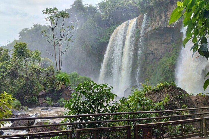 1-day Private Tour of the Falls on the Brazilian and Argentinean sides.