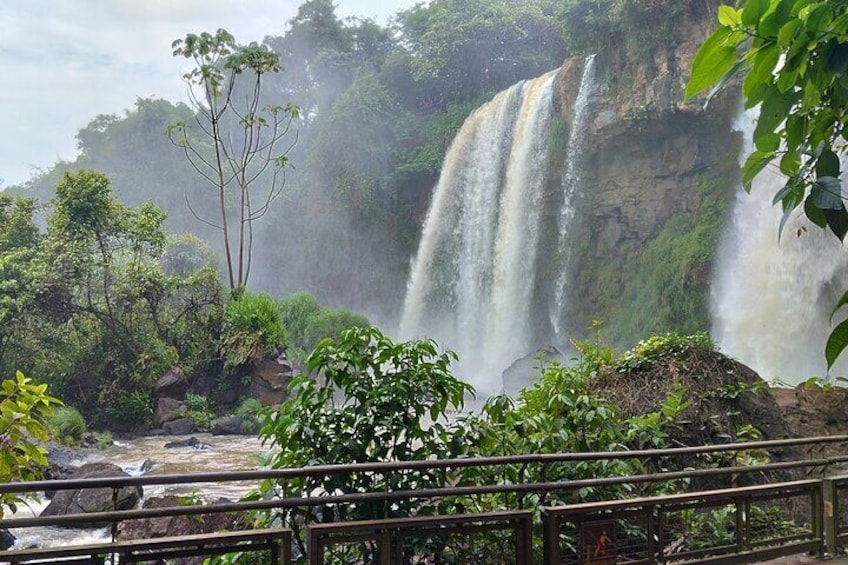 1-day Private Tour of the Falls on the Brazilian and Argentinean sides.