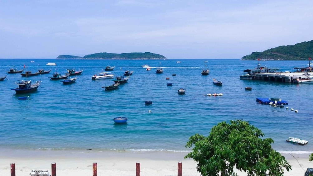 Picture 6 for Activity Da Nang: Cham Islands Snorkeling or Diving Tour by Speedboat