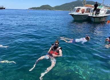 Da Nang/Hoi An : Plongée en apnée dans les îles Cham en bateau à grande vit...