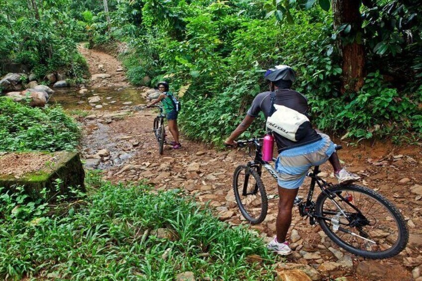 Kitulgala Forest Reserve cycling tour