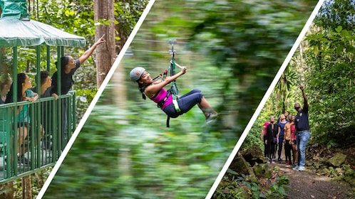 热带雨林高级滑索、高空缆车和徒步旅行终极之旅 3