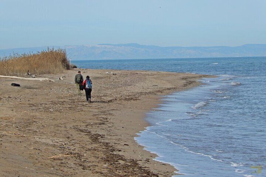 Ariscianne: the beach of mysteries.