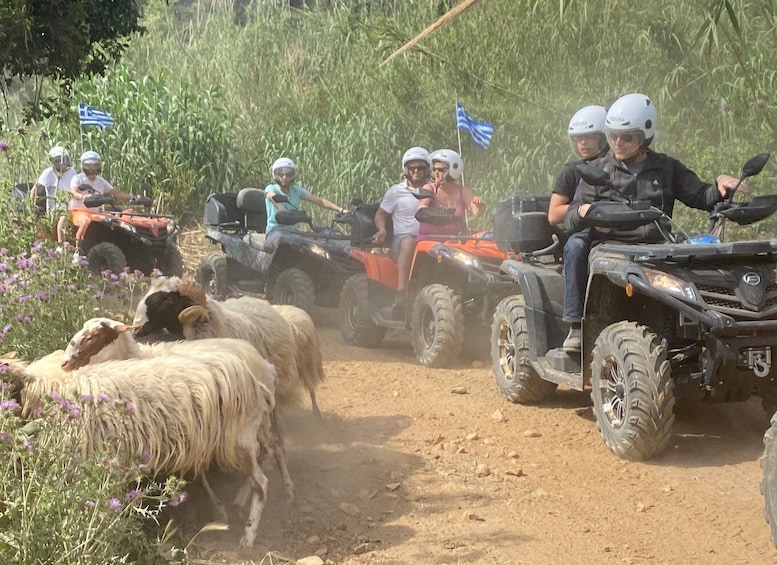 Picture 11 for Activity Crete: Heraklion to Agia Pelagia Quad Bike Tour