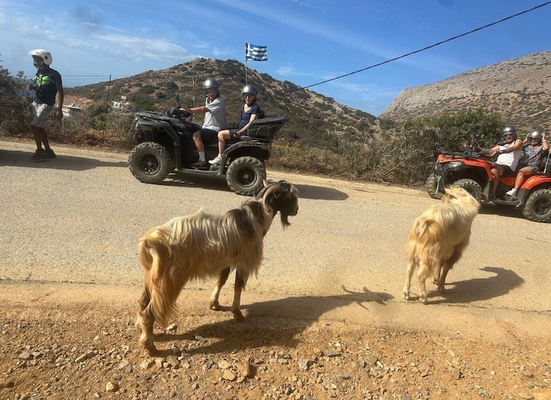 Picture 13 for Activity Crete: Heraklion to Agia Pelagia Quad Bike Tour