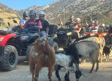 Creta: safari en quad con naturaleza, vistas y zonas rurales