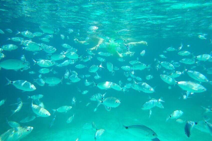 Snorkeling