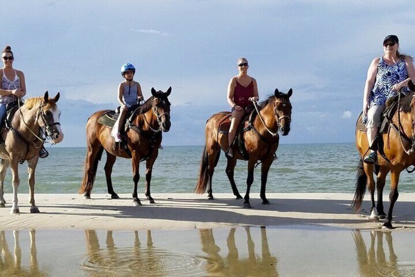 Cartagena: Horseback Riding Along The Beach (Don't Overpay)