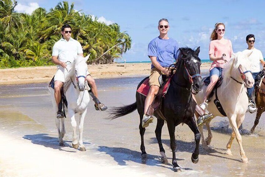 Cartagena: Horseback Riding Along The Beach (Don't Overpay)