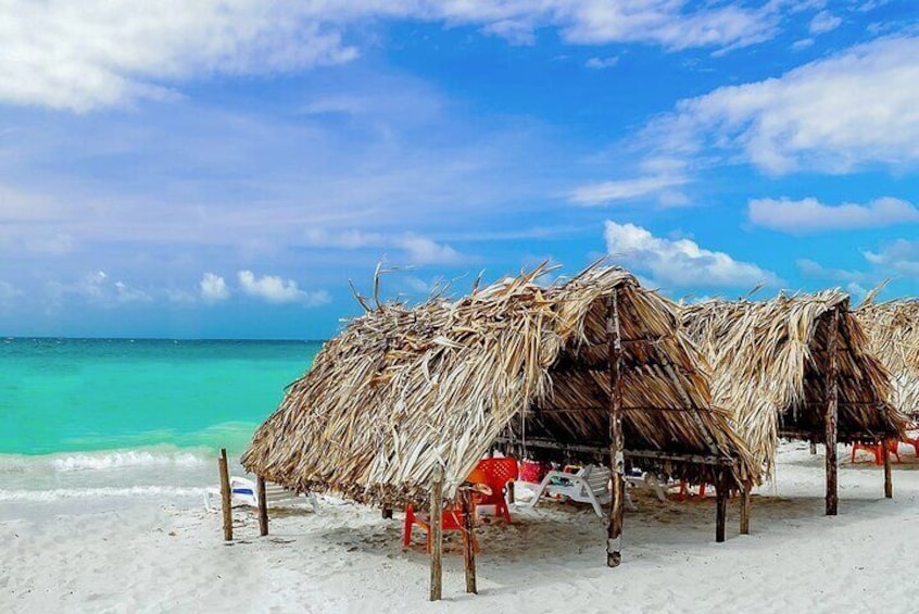 Cartagena: Horseback Riding Along The Beach (Don't Overpay)