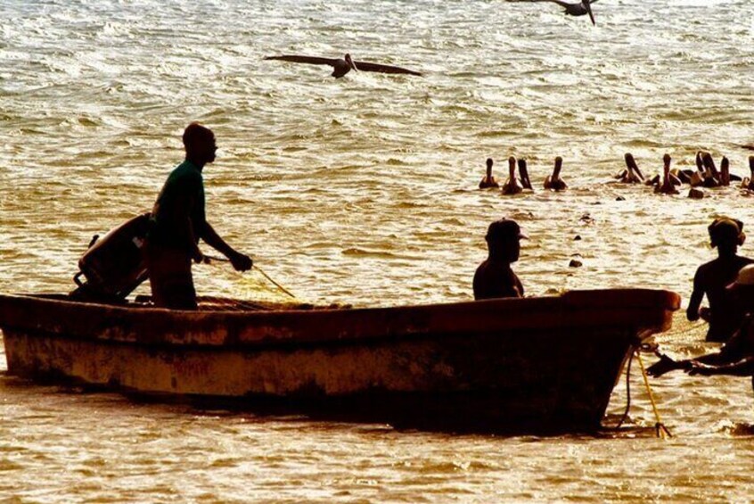 Cartagena: Horseback Riding Along The Beach (Don't Overpay)