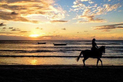 Cartagena: Horseback Riding at the Beach During Day or Sunset