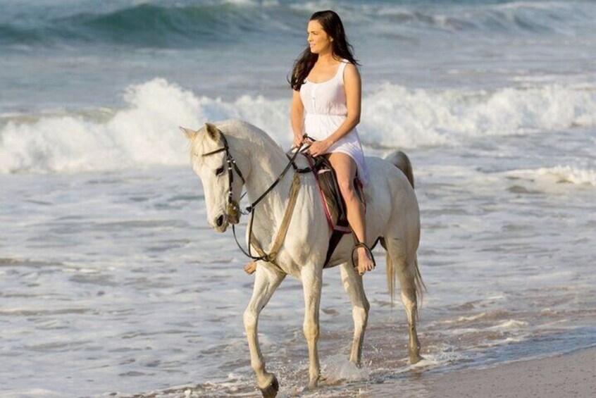 Cartagena: Horseback Riding Along The Beach (Don't Overpay)