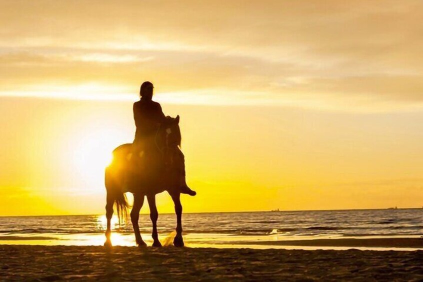 Cartagena: Horseback Riding Along The Beach (Don't Overpay)