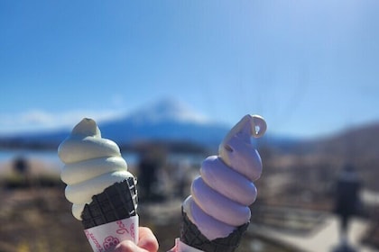 Mt Fuji Privétour met Engelssprekende chauffeur