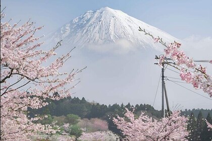 Mt Fuji Private Tour with English Speaking Driver