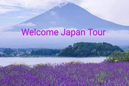 Mt Fuji Private Tour with English speaking driver