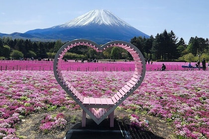 Mt Fuji Private Tour with English Speaking Driver