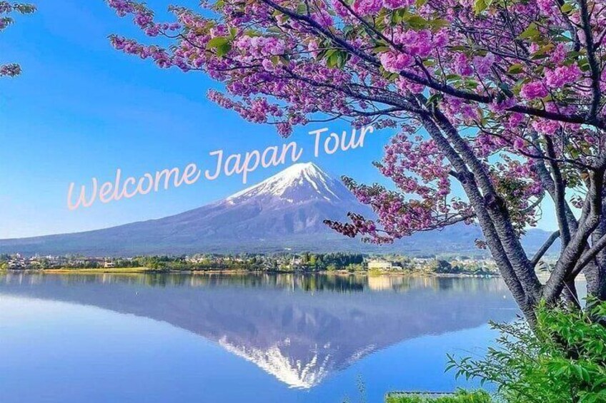 Mt Fuji Private Tour with English speaking driver