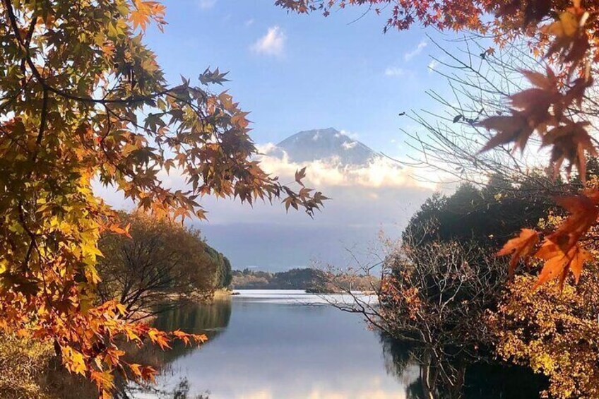 Day Mount Fuji Private Tour English speaking driver