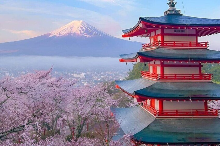 Day Mount Fuji Private Tour English speaking driver