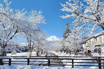 Mt Fuji Private Tour with English speaking driver