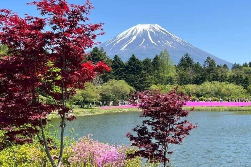 Mt Fuji Private Tour with English speaking driver