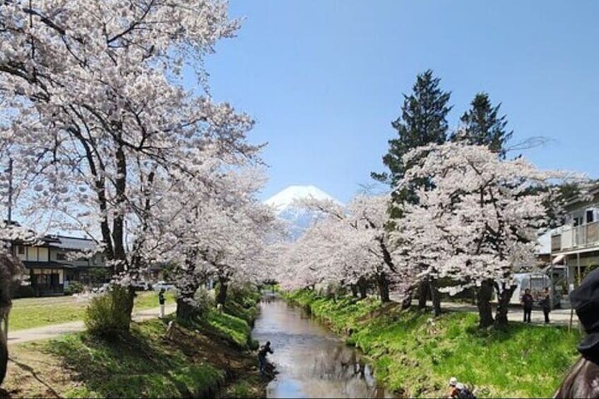 One Day Private Tour to Mount Fuji with English driver