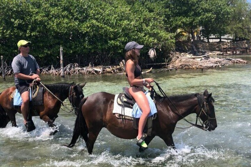 Horseback Riding in Roatan