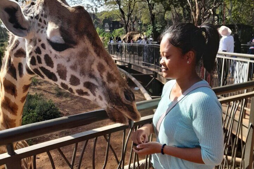 Giraffe Centre