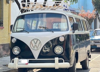 México: autobús VW en Coyoacán y Xochimilco, paseo en barco y brunch
