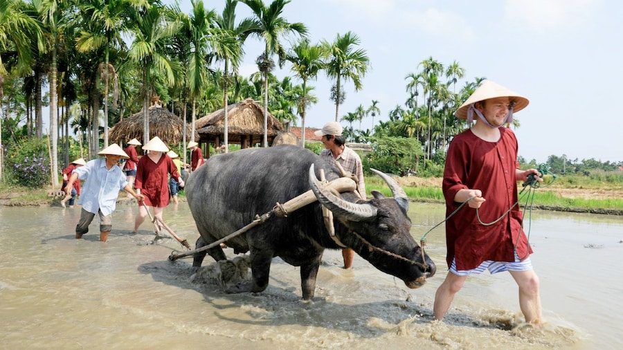Mekong Delta Day Tour in Vietnam