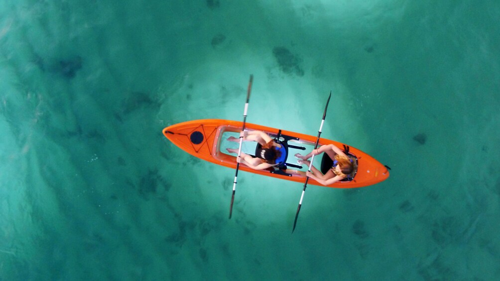 Moonlight GlassBottom Kayak Tour