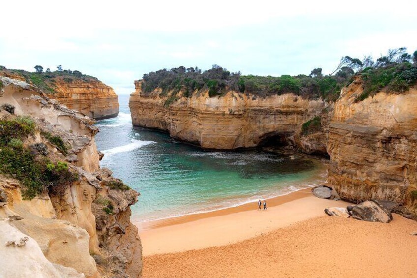 Full Day Tour of Great Ocean Road and 12 Apostles in Australia