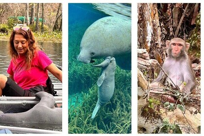 Silver Springs Clear Kayak Manatee, Monkey & Wildlife Abenteuer