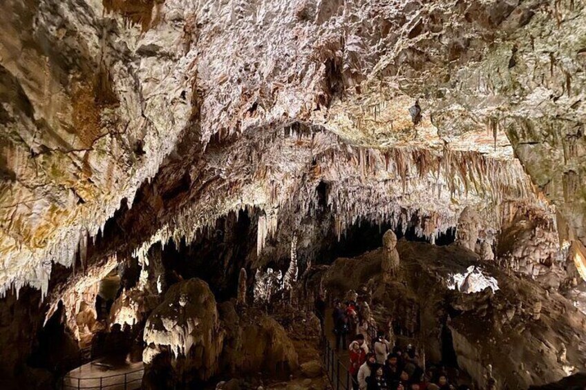 Full-day tour of Postojna Cave and Bled Lake From Ljubljana