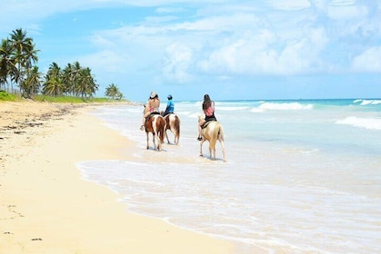 équitation privée sur la magnifique plage de Punta Cana (saut à l'eau)