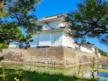 Château de Kyoto Nijo et palais impérial Visite guidée à pied en petit grou...