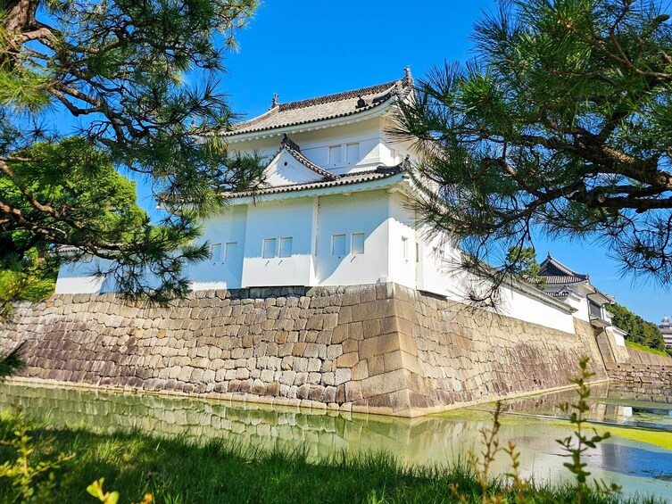 Kyoto Nijo Castle & Imperial Palace Small Group Guided Walking Tour - 3 Hr