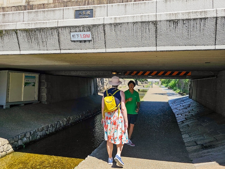 Kyoto Nijo Castle & Imperial Palace Small Group Guided Walking Tour - 3 Hr