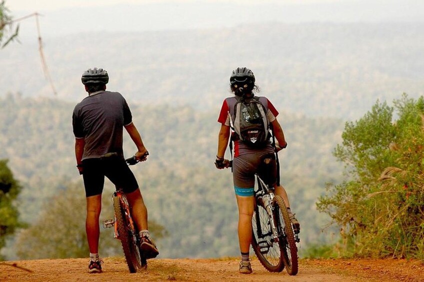 Yaguareté Road: Private Bike Excursion in Puerto Iguazú