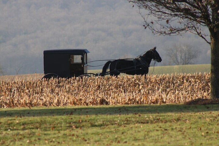 Tour to Niagara, Toronto, Washington, Amish, Philadelphia and NYC