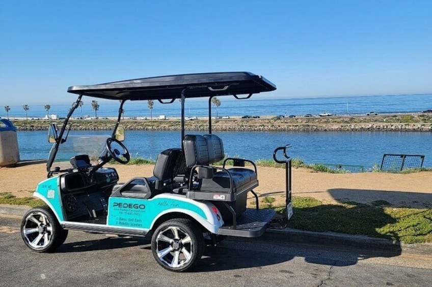 Golf Cart Rentals LSV in Carlsbad