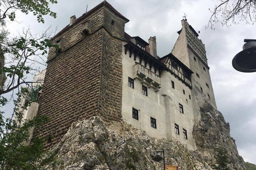 Bear Sanctuary and Bran Castle from Brasov