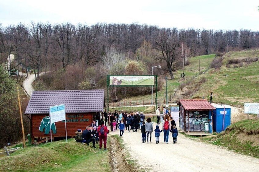 Bear Sanctuary and Bran Castle from Brasov