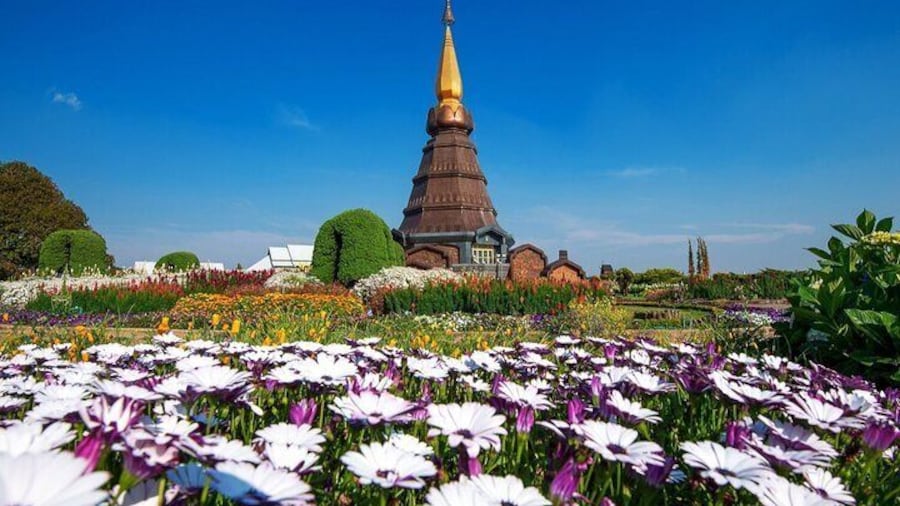 Full Day Doi Inthanon National Park Tou